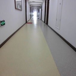 河北pvc塑膠地板