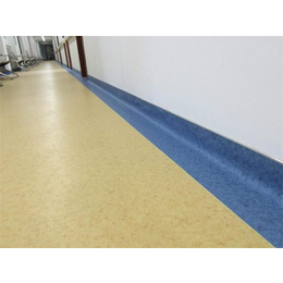 海南塑膠地板公司、海南塑膠地板、君衡(查看)