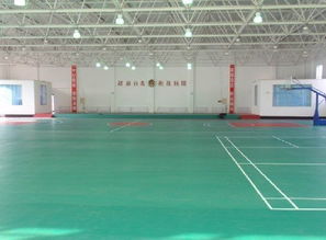 天津運(yùn)動地板、廊坊PVC地板、唐山塑膠地板與滄州球場地板廠家圖片展示